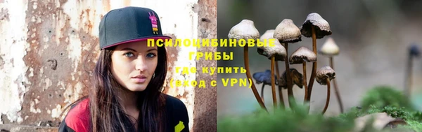 эйфоретик Алексин