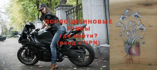 сатива Алзамай