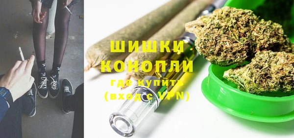 сатива Алзамай