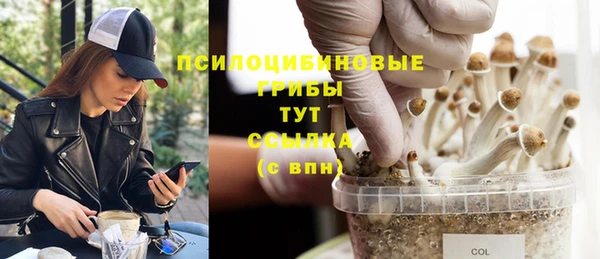 сатива Алзамай