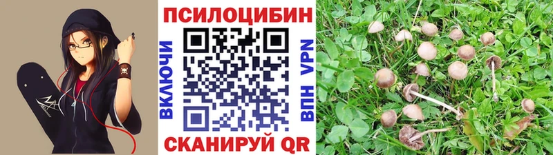 МЕГА ссылка  сколько стоит  Орёл  Псилоцибиновые грибы MAGIC MUSHROOMS 